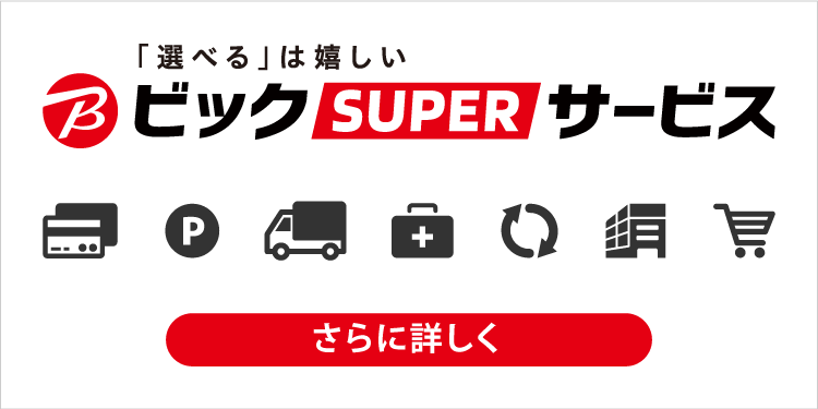 ビックスーパーサービス